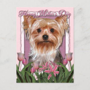 Mothers Day - Pink Tulips - Yorkshire Terrier Postcard