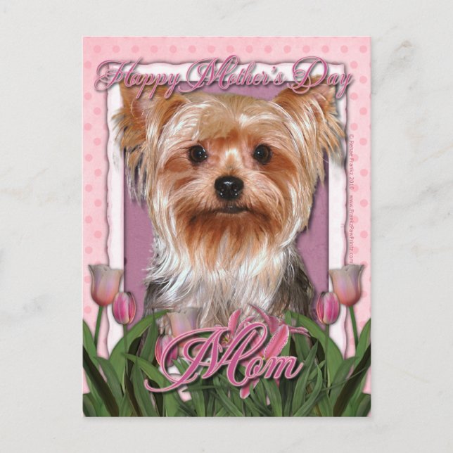 Mothers Day - Pink Tulips - Yorkshire Terrier Postcard (Front)