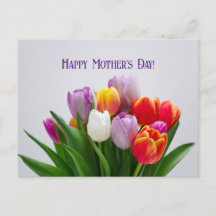 Mother's Day Postcard