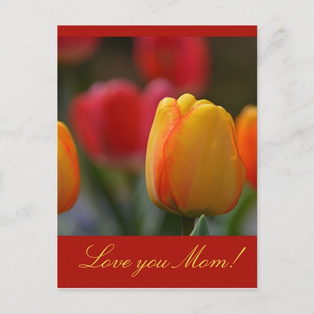 Mother's Day Postcard (Front)