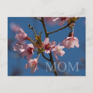 Mother's Day Postcard
