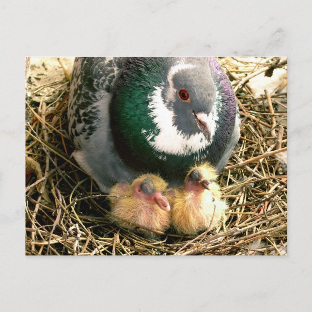 Mothers Day Postcard (Front)