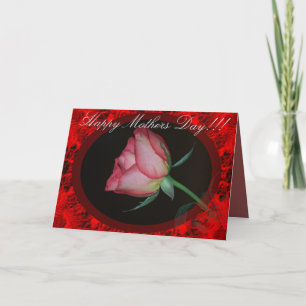 Mothers Day Red Rose Greeting Card