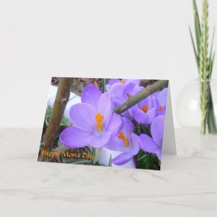 Mother's Day Spring Card