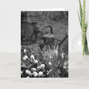 MOTHERS DAY TO A SPECIAL LADY IN YOUR LIFE CARD