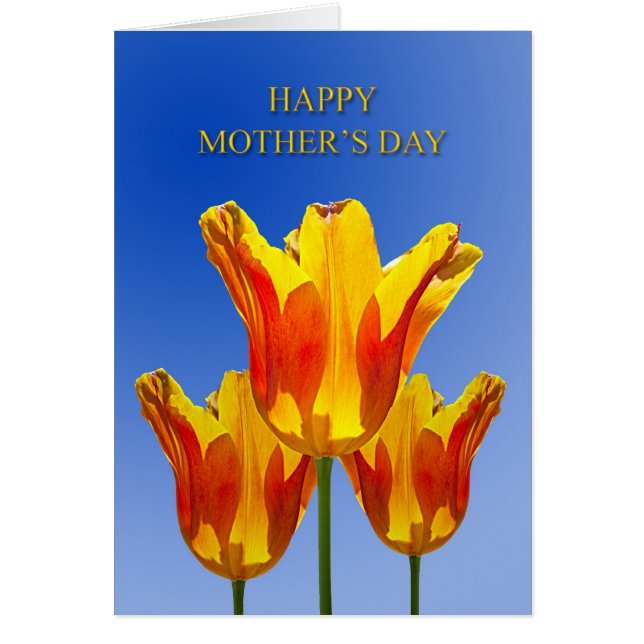 Mother's Day, tulips full of sunshine (Front)