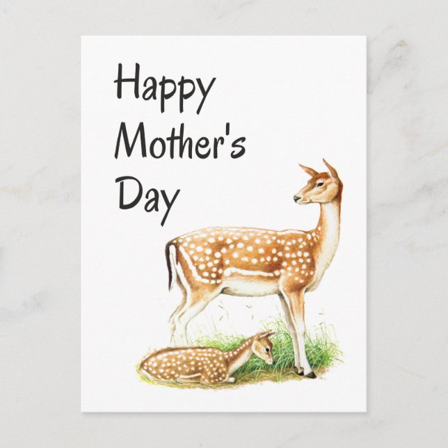 Mother's Day, Vintage Deer Mum and Baby Postcard (Front)