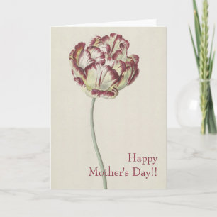 Mother's Day - Vintage Fine Art Yellow & Red Tulip Card