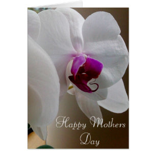 MOTHERS DAY WHITE ORCHID card