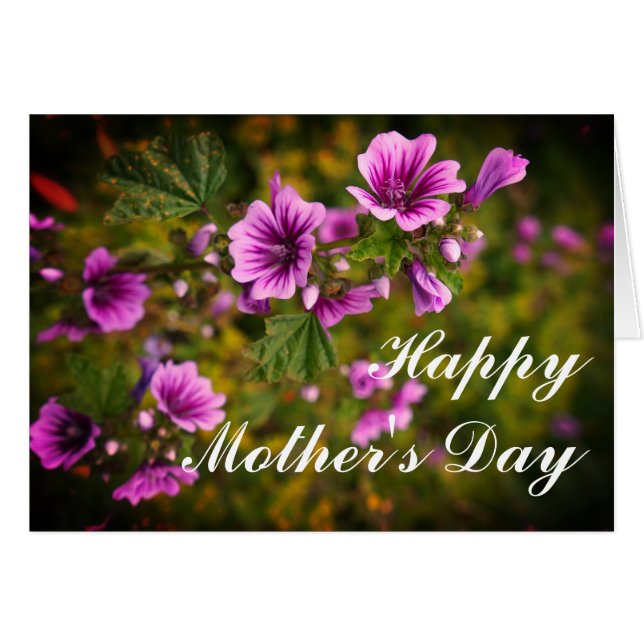 Mother's Day Zebra Hollyhock Flowers #2 Card (Front Horizontal)