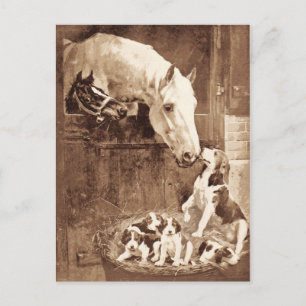 Mothers greeting each other postcard