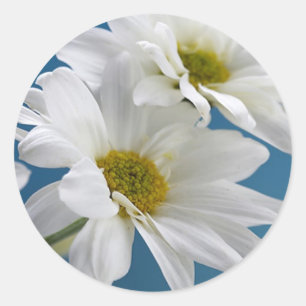 Mother's Heart Holds a Garden of Love Classic Round Sticker