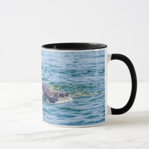 Mother's Love Dolphin & Baby Mug
