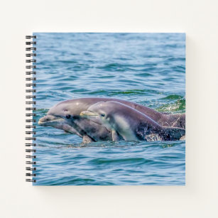 Mother's Love Dolphin & Baby Notebook