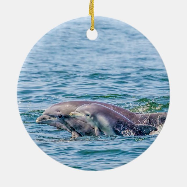 Mother's Love Dolphin & Baby Ornament (Back)