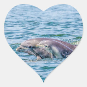 Mother's Love Dolphin & Baby Stickers