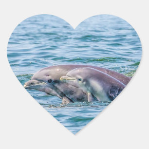 Mother's Love Dolphin & Baby Stickers
