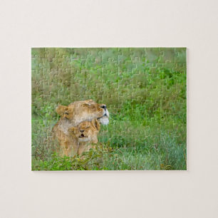 Mother's Love Lioness & Baby Puzzle