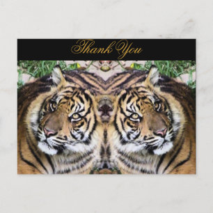 Mother's Love_ Postcard