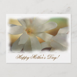 Mother's Love Postcard