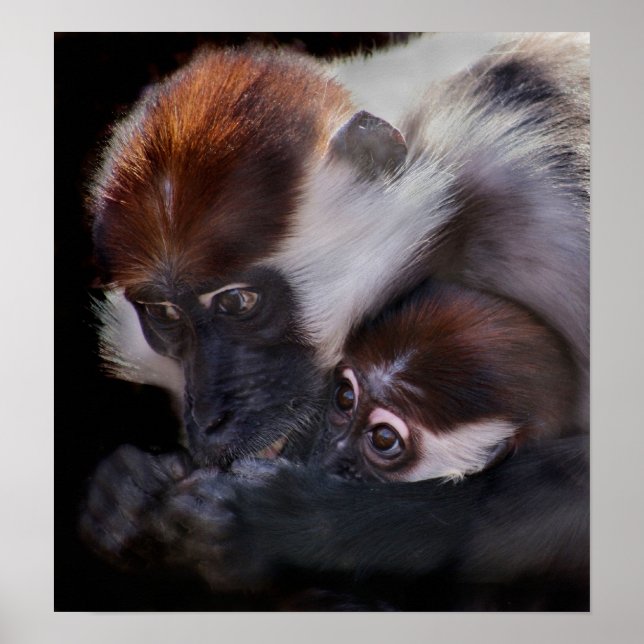 Mothers Love Poster (Front)