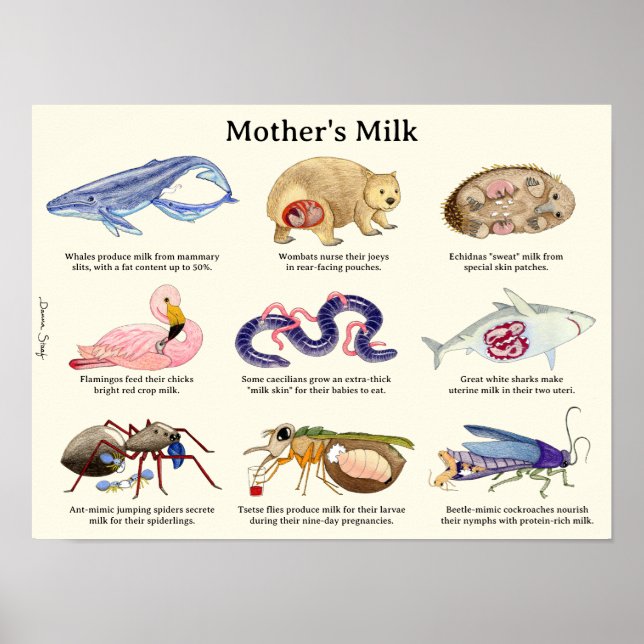 Mother's Milk Animal Poster (Front)