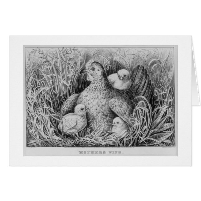 &,mothers wing (Front Horizontal)