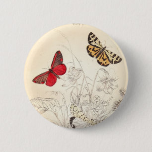 Moths and Butterflies 6 Cm Round Badge