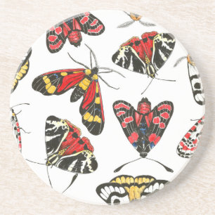 Moths Coaster