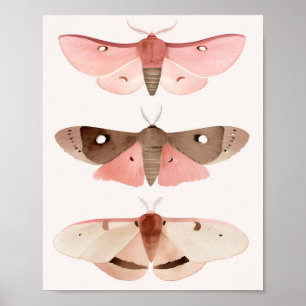 Moths for Good Fortune  Poster