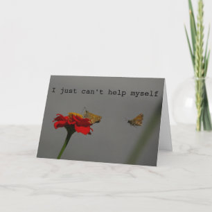 Moths 'I Go Where You Go' Card