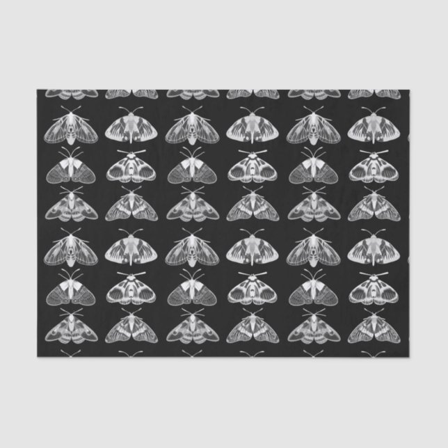 Moths in Black, White and Grey  Tissue Paper (Front)
