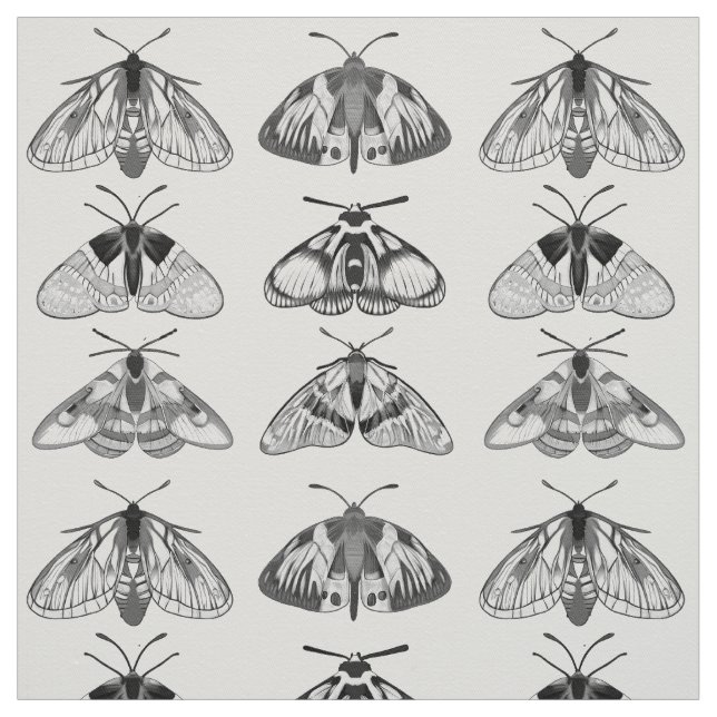 Moths in Grey, Black and White  Fabric (Swatch)