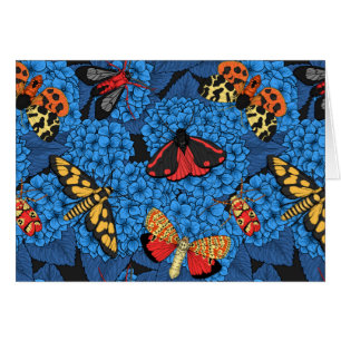 Moths on blue hydrangea