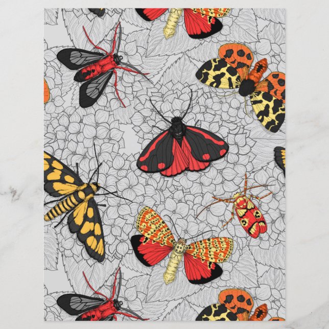 Moths on hydrangea (Front)