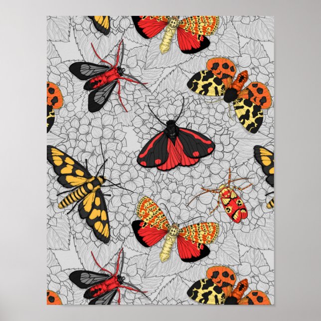 Moths on hydrangea poster (Front)