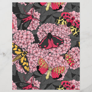 Moths on pink hydrangea