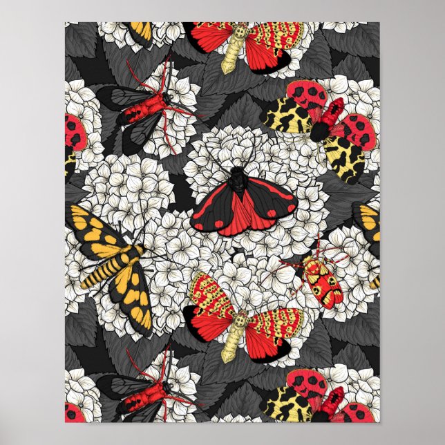 Moths on white hydrangea poster (Front)