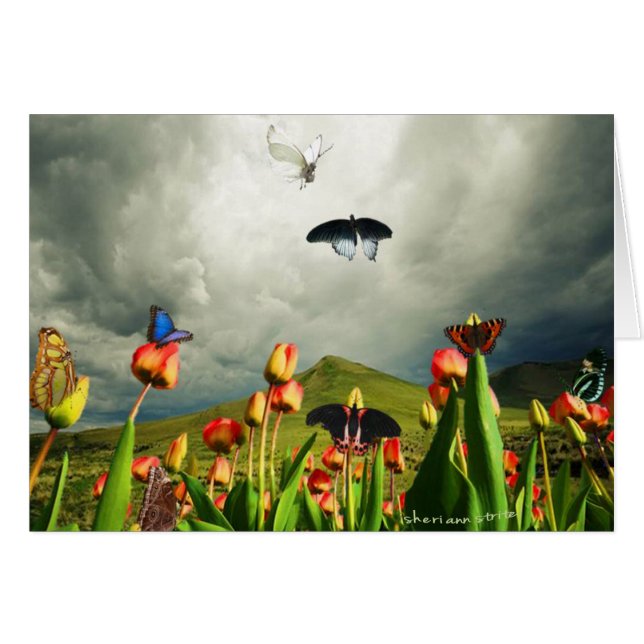 Moths & Tulips (Front Horizontal)