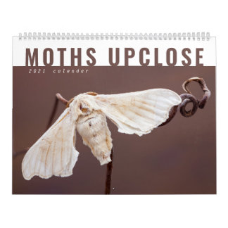 MOTHS UPCLOSE 2021 CALENDAR