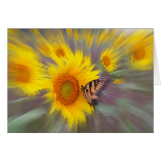 Motion , CARD