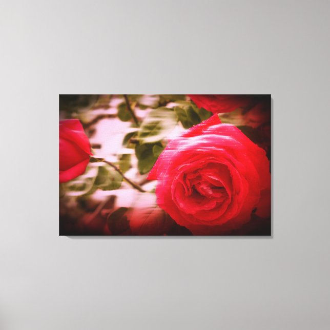 MOTION COLOR of tree roses on Canvas Print (Front)