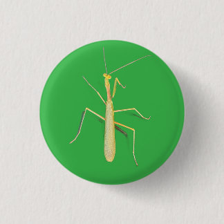 Motionless Mantis,  3 Cm Round Badge