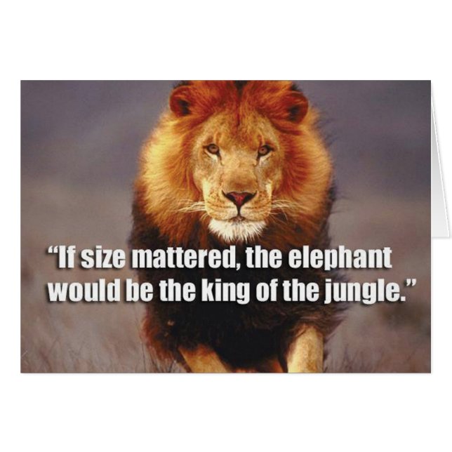 Motivaitonal Fitness Gym (Front Horizontal)