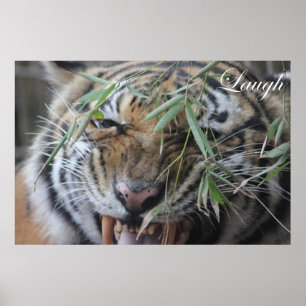 Motivate, Motivational, Laugh Poster