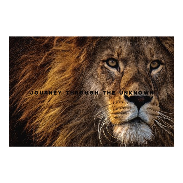 Motivational and Inspirational Art of Lion  Photo Print (Front)