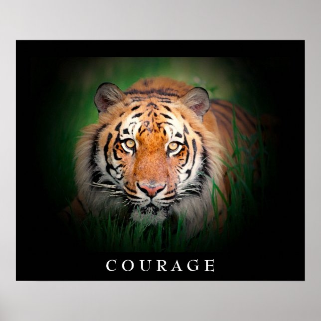 Motivational Courage Tiger Eyes Poster (Front)