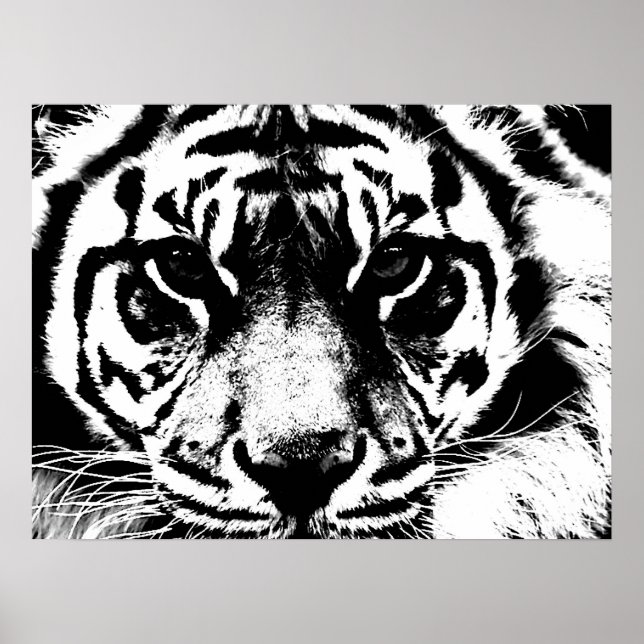 Motivational Courage Tiger Poster Print (Front)