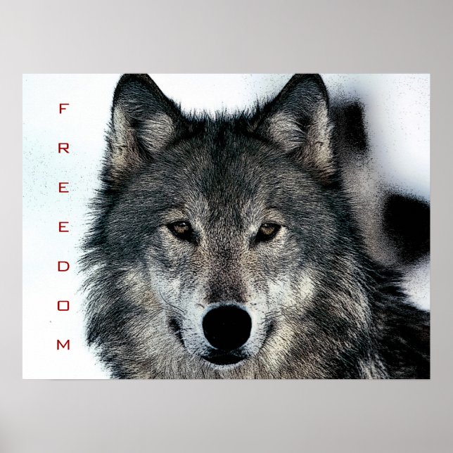 Motivational Freedom Courage Wolf Poster Print (Front)
