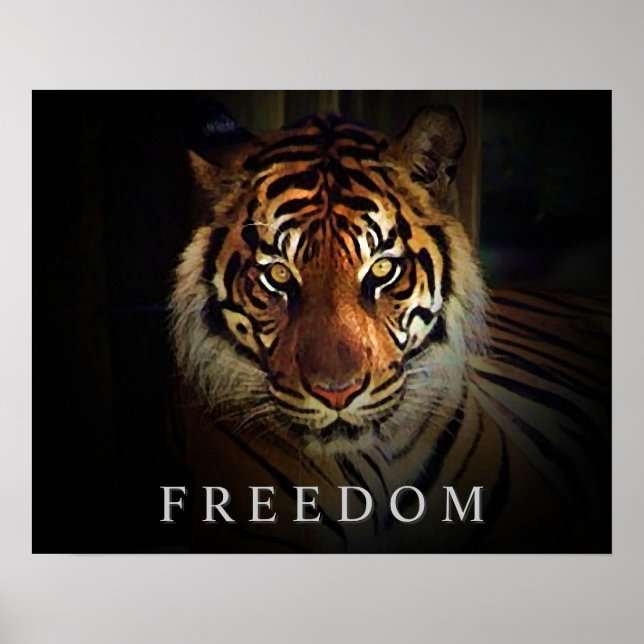 Motivational Freedom Eyes of Tiger Poster Print (Front)